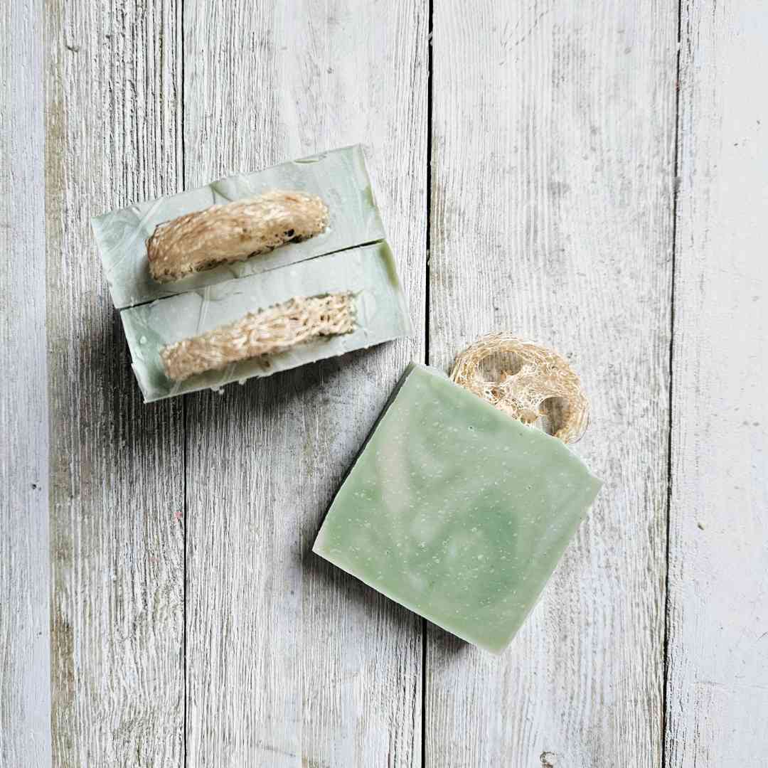 Savon sapin et eucalyptus
